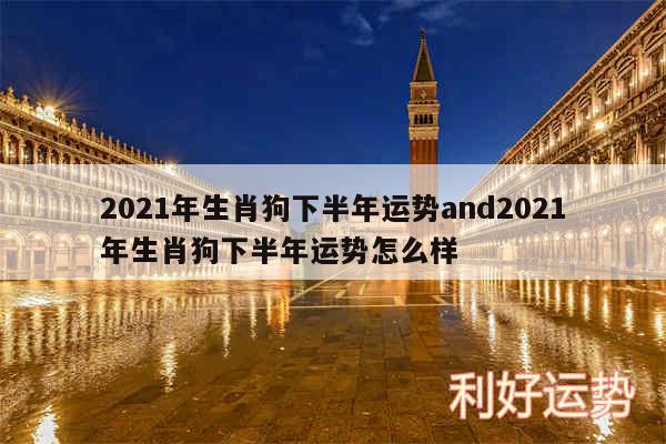 2024年生肖狗下半年运势and2024年生肖狗下半年运势怎么样