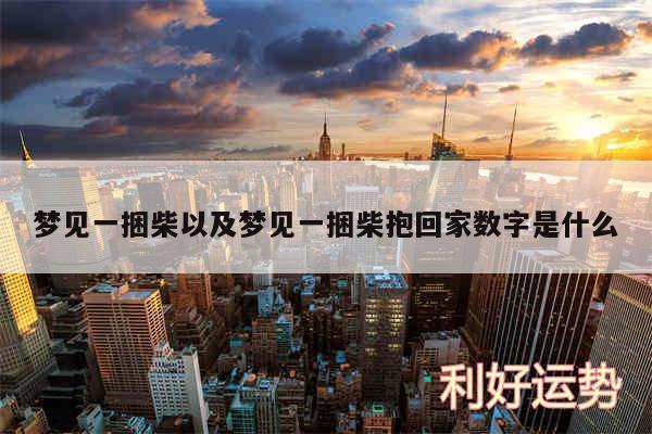 梦见一捆柴以及梦见一捆柴抱回家数字是什么