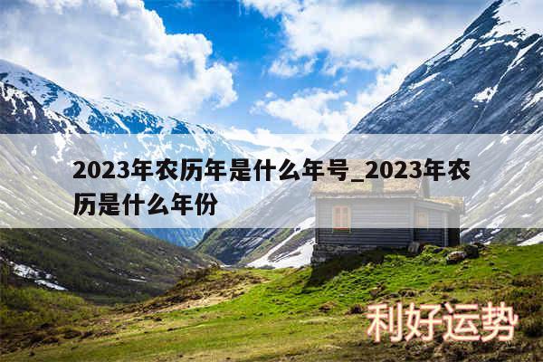 2024年农历年是什么年号_2024年农历是什么年份