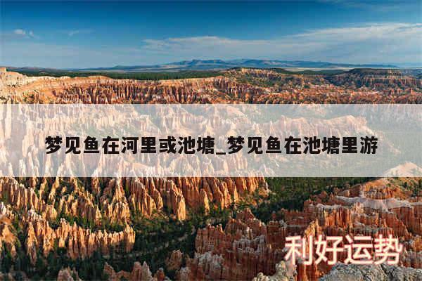梦见鱼在河里或池塘_梦见鱼在池塘里游