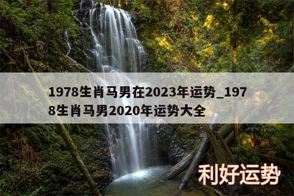 1978生肖马男在2024年运势_1978生肖马男2020年运势大全