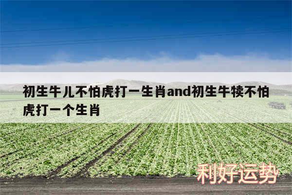 初生牛儿不怕虎打一生肖and初生牛犊不怕虎打一个生肖