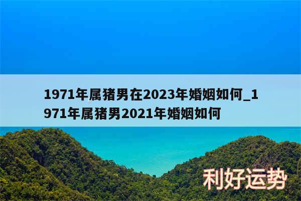 1971年属猪男在2024年婚姻如何_1971年属猪男2024年婚姻如何