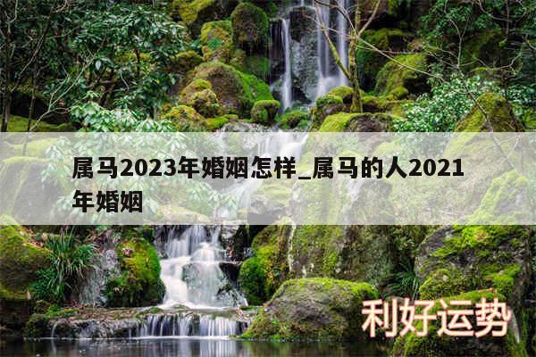 属马2024年婚姻怎样_属马的人2024年婚姻