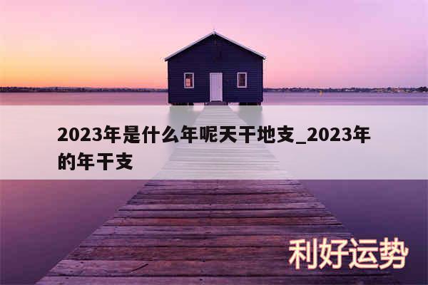 2024年是什么年呢天干地支_2024年的年干支