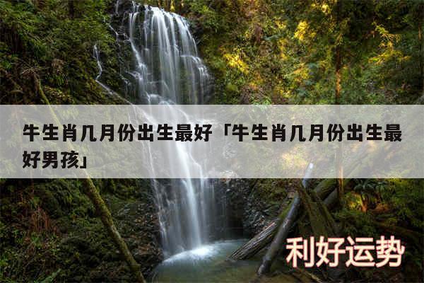 牛生肖几月份出生最好及牛生肖几月份出生最好男孩