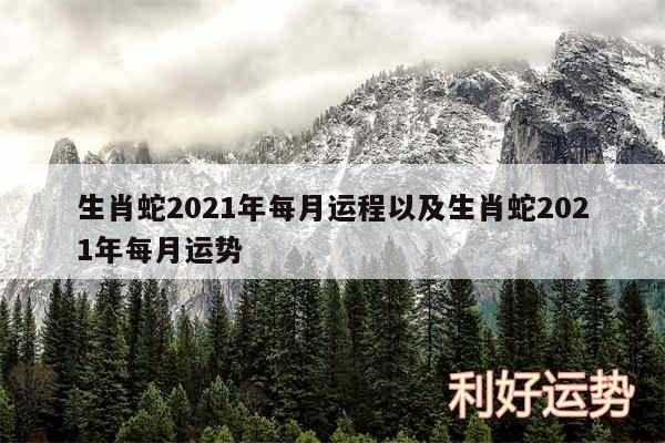 生肖蛇2024年每月运程以及生肖蛇2024年每月运势