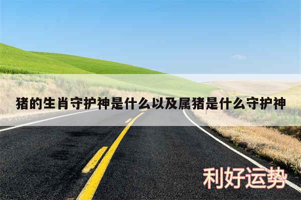 猪的生肖守护神是什么以及属猪是什么守护神