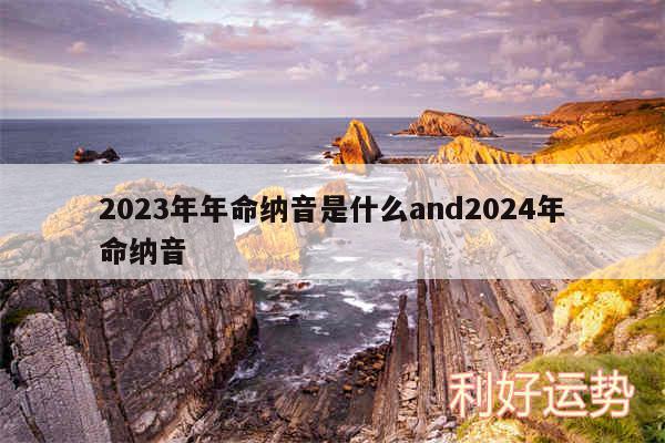 2024年年命纳音是什么and2024年命纳音