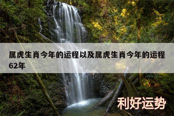 属虎生肖今年的运程以及属虎生肖今年的运程62年