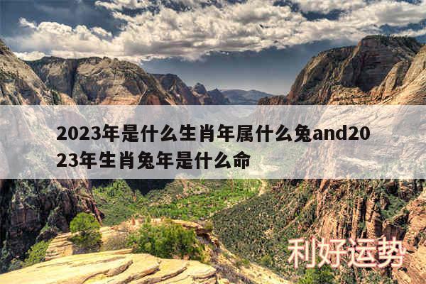 2024年是什么生肖年属什么兔and2024年生肖兔年是什么命