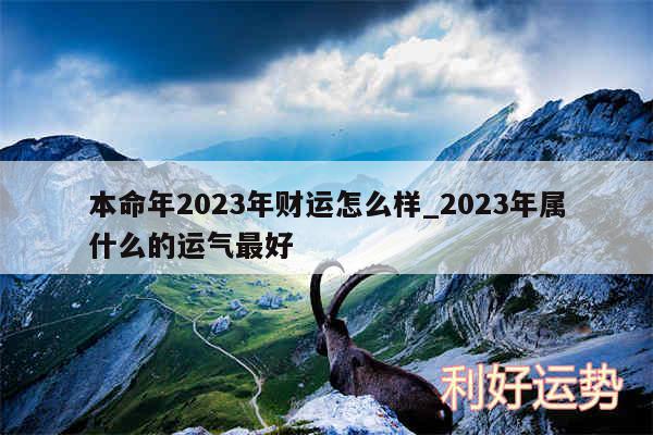 本命年2024年财运怎么样_2024年属什么的运气最好