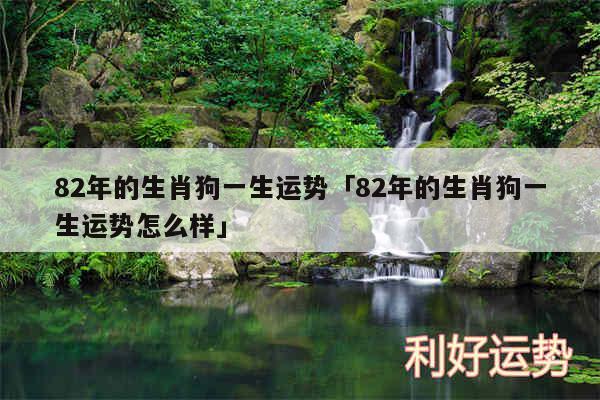 82年的生肖狗一生运势及82年的生肖狗一生运势怎么样