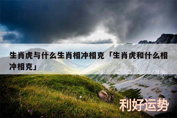 生肖虎与什么生肖相冲相克及生肖虎和什么相冲相克