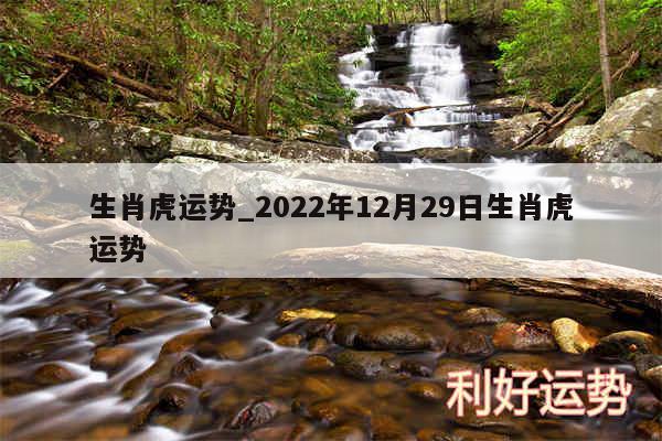 生肖虎运势_2024年12月29日生肖虎运势