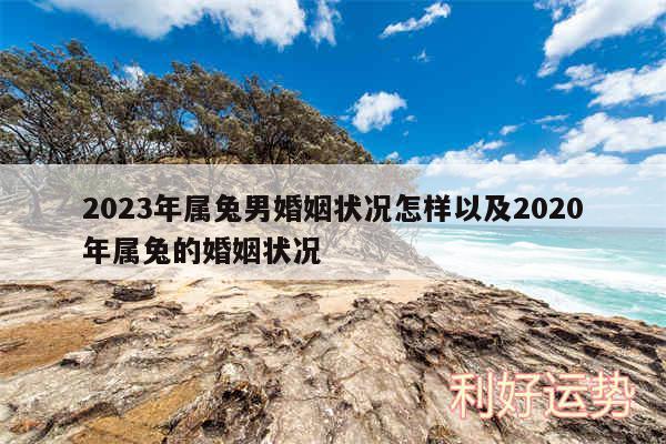 2024年属兔男婚姻状况怎样以及2020年属兔的婚姻状况