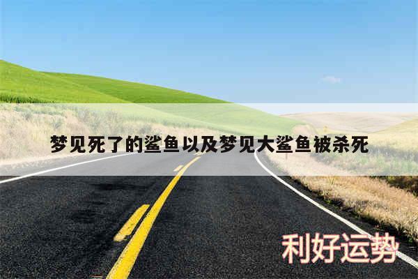 梦见死了的鲨鱼以及梦见大鲨鱼被杀死