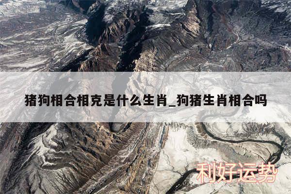 猪狗相合相克是什么生肖_狗猪生肖相合吗