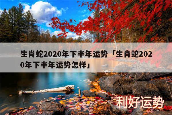 生肖蛇2020年下半年运势及生肖蛇2020年下半年运势怎样