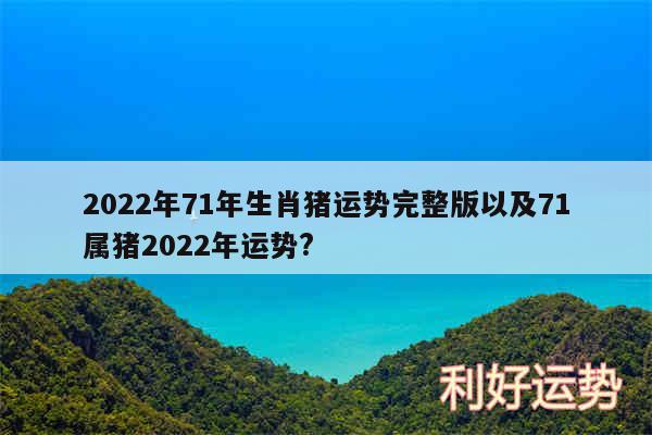 2024年71年生肖猪运势完整版以及71属猪2024年运势?