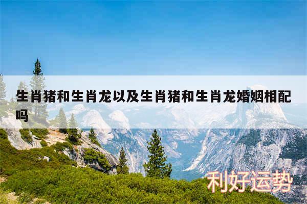 生肖猪和生肖龙以及生肖猪和生肖龙婚姻相配吗