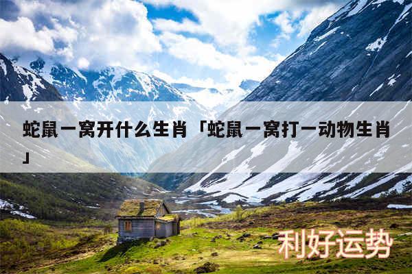 蛇鼠一窝开什么生肖及蛇鼠一窝打一动物生肖
