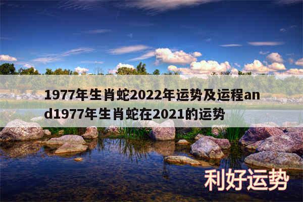 1977年生肖蛇2024年运势及运程and1977年生肖蛇在2024的运势
