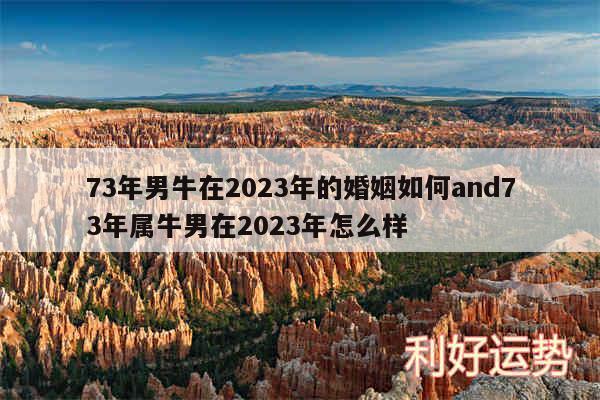 73年男牛在2024年的婚姻如何and73年属牛男在2024年怎么样