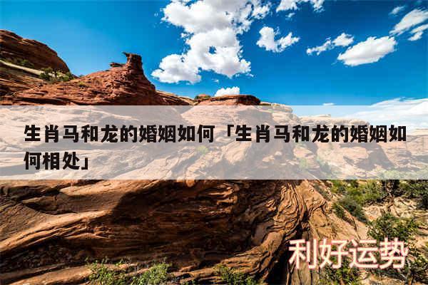 生肖马和龙的婚姻如何及生肖马和龙的婚姻如何相处