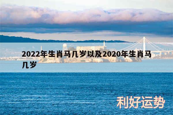 2024年生肖马几岁以及2020年生肖马几岁