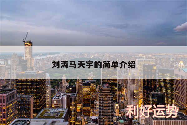 刘涛马天宇的简单介绍