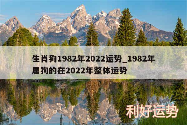 生肖狗1982年2024运势_1982年属狗的在2024年整体运势