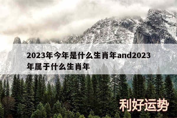 2024年今年是什么生肖年and2024年属于什么生肖年