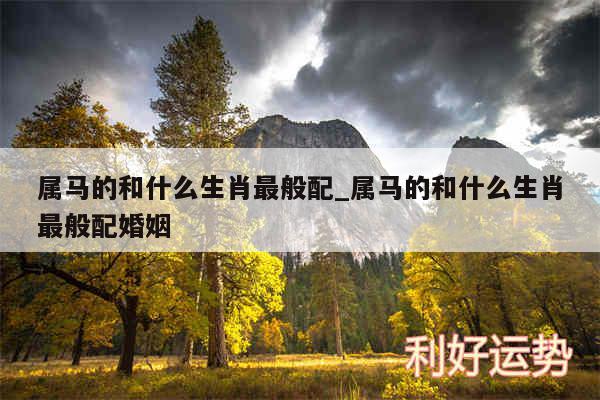 属马的和什么生肖最般配_属马的和什么生肖最般配婚姻