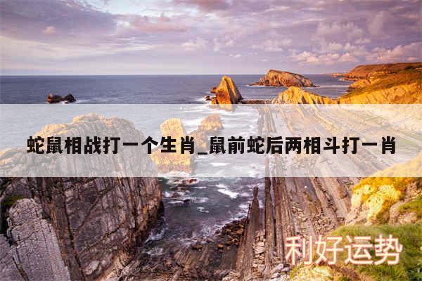 蛇鼠相战打一个生肖_鼠前蛇后两相斗打一肖