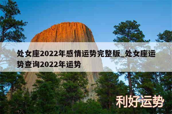 处女座2024年感情运势完整版_处女座运势查询2024年运势