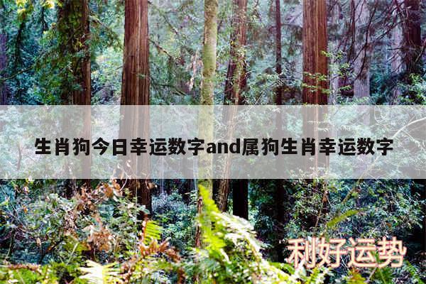 生肖狗今日幸运数字and属狗生肖幸运数字
