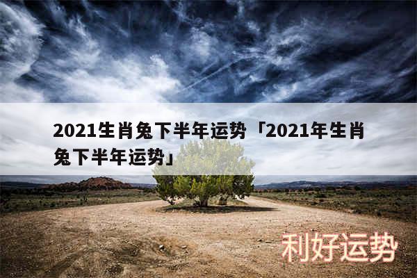 2024生肖兔下半年运势及2024年生肖兔下半年运势