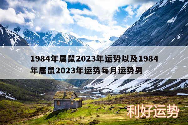 1984年属鼠2024年运势以及1984年属鼠2024年运势每月运势男