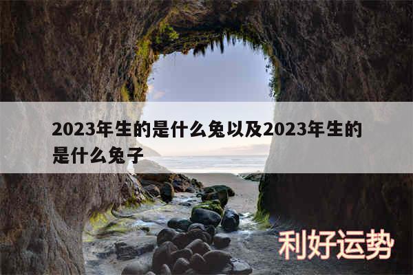 2024年生的是什么兔以及2024年生的是什么兔子