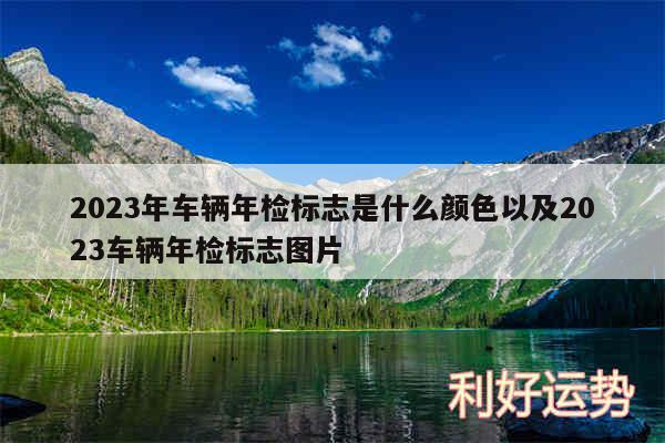 2024年车辆年检标志是什么颜色以及2024车辆年检标志图片