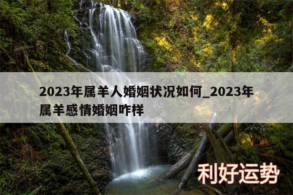 2024年属羊人婚姻状况如何_2024年属羊感情婚姻咋样