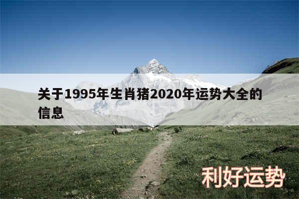 关于1995年生肖猪2020年运势大全的信息