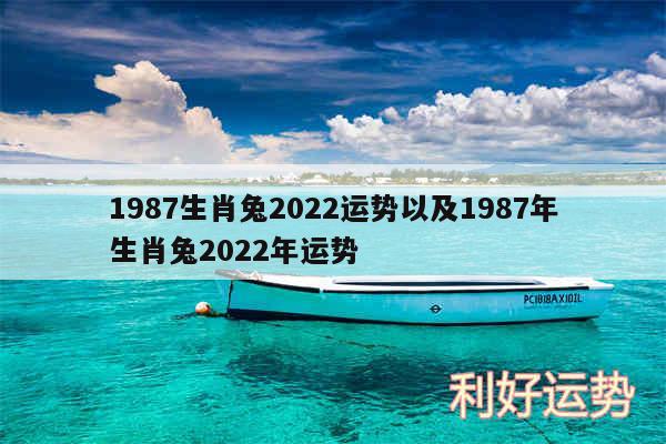 1987生肖兔2024运势以及1987年生肖兔2024年运势