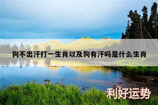 狗不出汗打一生肖以及狗有汗吗是什么生肖