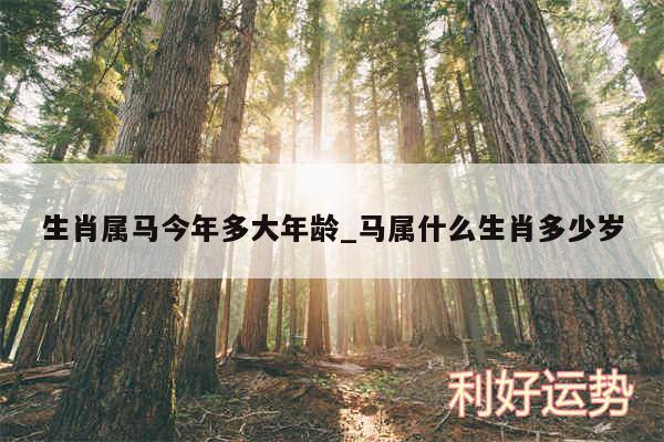 生肖属马今年多大年龄_马属什么生肖多少岁