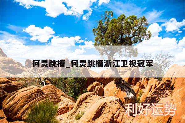 何炅跳槽_何炅跳槽浙江卫视冠军