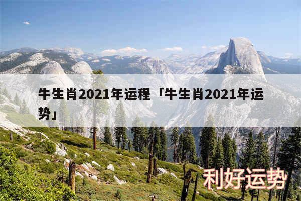 牛生肖2024年运程及牛生肖2024年运势