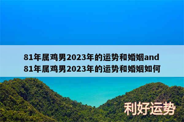 81年属鸡男2024年的运势和婚姻and81年属鸡男2024年的运势和婚姻如何