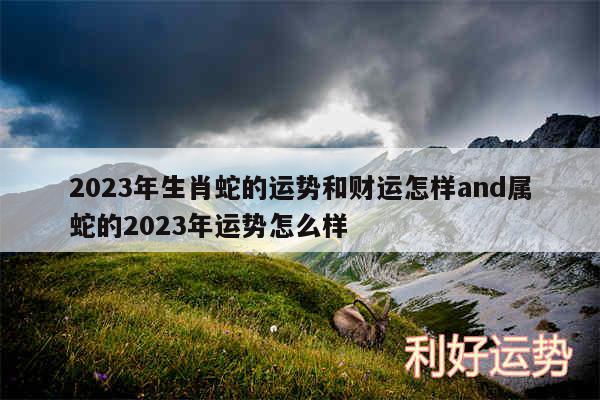 2024年生肖蛇的运势和财运怎样and属蛇的2024年运势怎么样